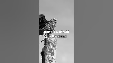 Soar Like an Eagle: Rise Above the Rest!" 🦅🔥 #financialfreedom #savingstrategies #business