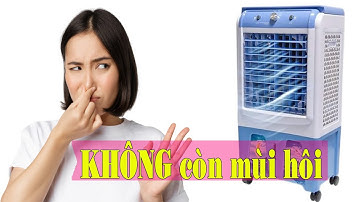 Vì Sao Quạt Hơi Nước Bị Hôi Tanh? Đây Là Nguyên Nhân Thật Sự !