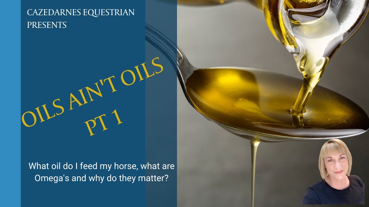 Feeding your horse Oil Pt 1 What are Omegas? YouTube