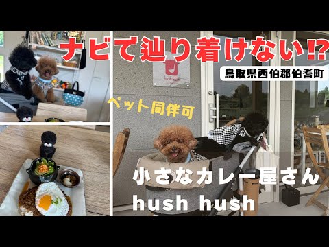 ✳︎アリスミッキー✳︎ AmiAmi [Character & Hobby Shop] | [Bonus] Fushigi no