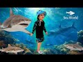 SeaWorld Abu Dhabi | The World's Most INSANE Marine Park!