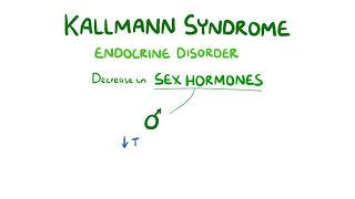 Kallmann syndrome