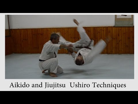Aikido techniques versus jiu-jitsu techniques 2