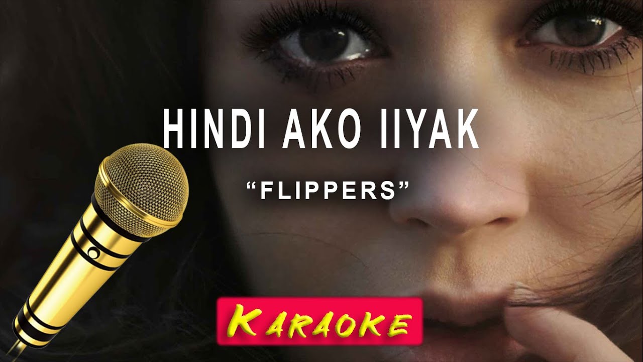 Penguin Flippers Meaning In Hindi Penguin Flippers Meaning In Hindi