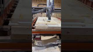 IMG 5234