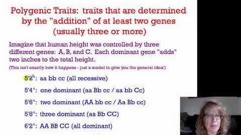 8.4b NonMendelian II:  Multiple Alleles and Polygenic Traits
