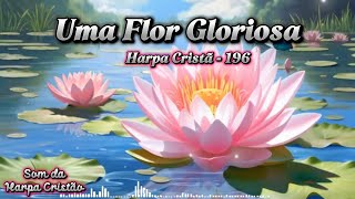 Uma Flor Gloriosa Harpa Cristã 196 Louvor Tradicional Com Letra