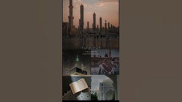 و من يتق الله يجعل له مخرجا | تلاوة مصممة | سورة الطلاق| الشيخ ماهر المعيقلي
