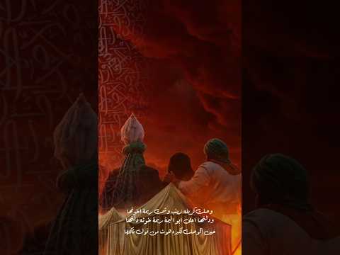 وصلت كربله زينب مسلم الوائلي