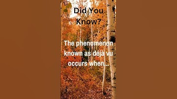 "Déjà Vu Demystified: When Your Brain Plays Tricks on Time | Did You Know?"