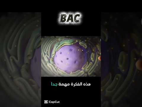 فكرة مهمة جدا تلقاها في التمارين للبكالوريا 