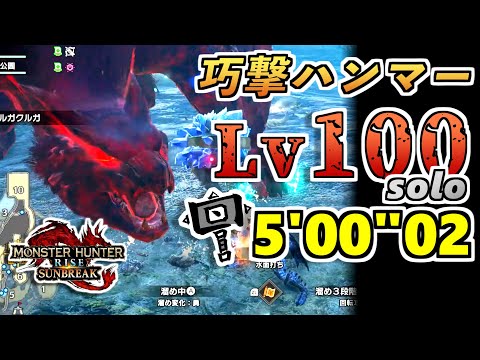 傀異討究Lv100ナルガクルガ 巧撃ハンマーソロ5分討伐 Anomaly Investigations Nargacuga hammer Adrenaline rush【モンハンライズ：サンブレイク】