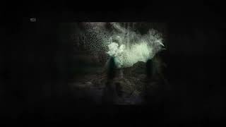 Rose Droll - Fantasy I Leave (Official Video)