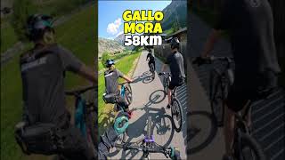 Trail Gallo Mora - w/  @DieMTB   | GUIDA E-BIKE LIVIGNO EP. 6 by Mottolino Fun Mountain 470 views 9 months ago 5 minutes, 13 seconds