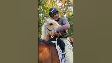 Some friendships don’t need words 💛#horse #horses #horsesoftiktok #horselovers #fyp #foryou #love