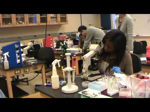 bio125 lab report 2update Week 9 lab report (plant diversity) due oct 30, 2012 by 10am points 10 this is a paper assignment that will be completed in lab 1351605600 10/30/2012. bio125 lab report 2update Week 9 lab report (plant diversity) due oct 30, 2012 by 10am points 10 this is a paper assignment that will be completed in lab 1351605600 10/30/2012.
