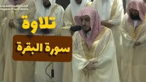 وما زالت تلاوة إبداعاً || فضيلة الشيخ وليد الشمسان سورة البقرة صلاة التراويح ليلة 1 رمضان 1446ه 🌿🎧