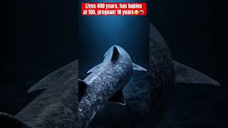 This Shark Lives 400 Years And Doesn’t Have Babies Until 150