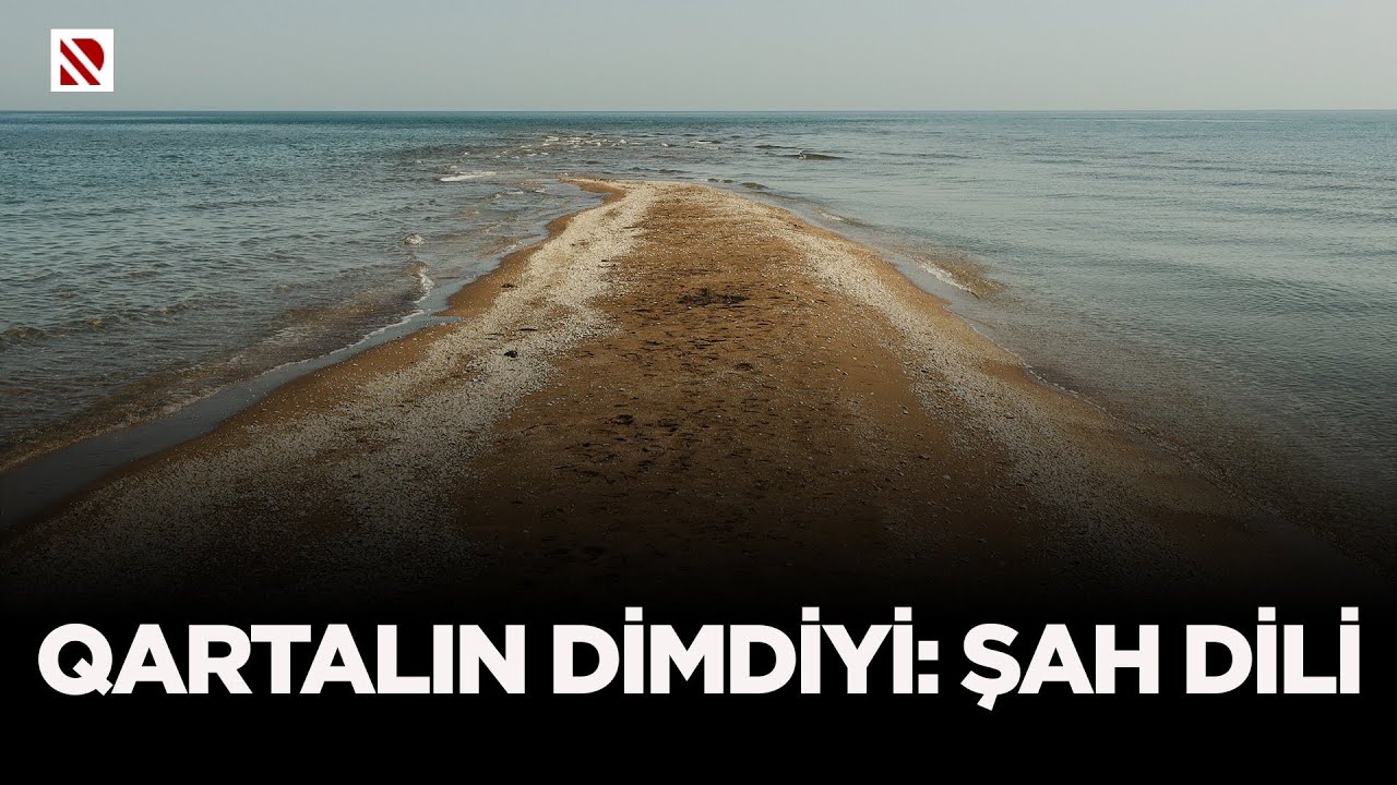 Qartalın dimdiyi: Şah dili - Abşeron Milli Parkı biomüxtəliflik muzeyi kimi fəaliyyət göstərəcək