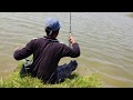 Fish catching || Fishing for Red-bellied piranha,Roopchanda