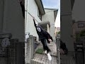 87歳のおばあちゃんのダンスが完璧すぎてw Chinadance カンカンカンダンス 中国ダンス Shorts 87歳のおばあちゃんのダンスが完璧すぎてw Chinadance カンカンカンダンス 中国ダンス Shorts
