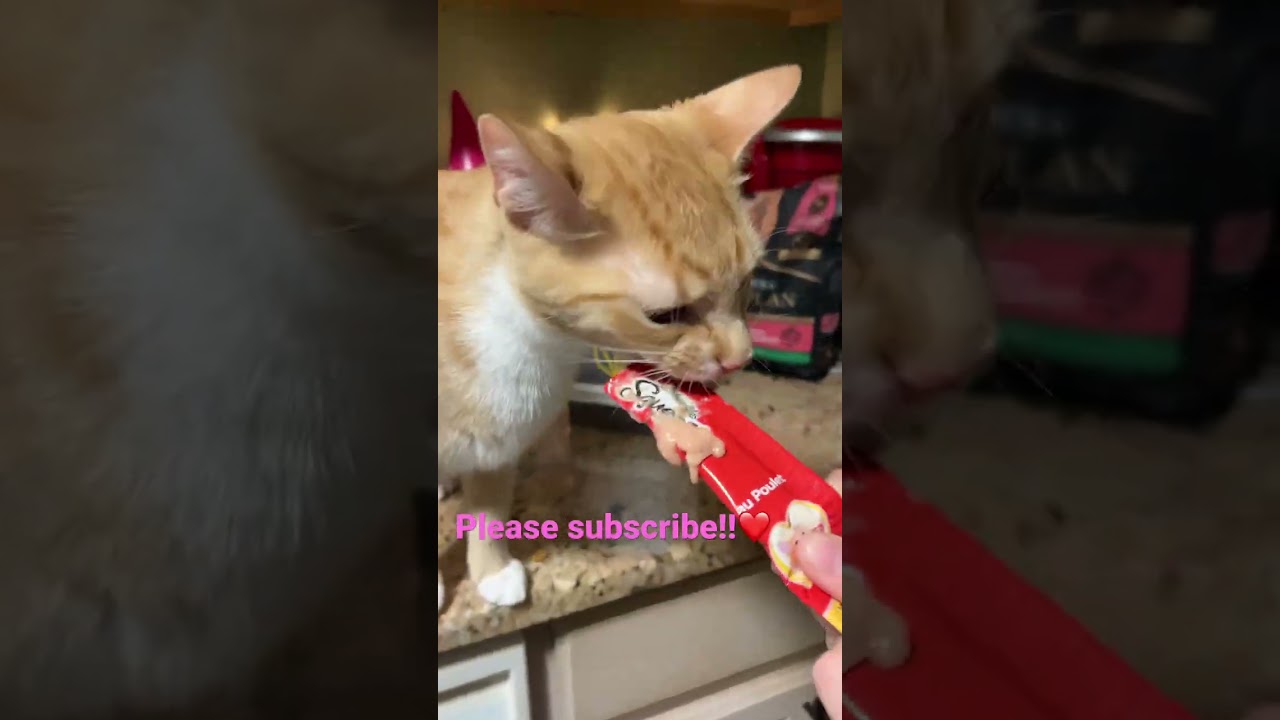 SNACK TIME!! 😂😂