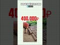 ИНТЕРЕСНАЯ БИЗНЕС ИДЕЯ НА ГЛИНЕ #shorts  #бизнес