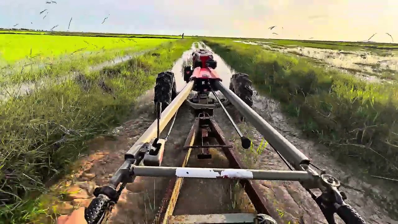 វាលស្រែក្បែរភូមិ 🌱🌦️