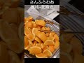 日本一周その2　さんふらわあ 茨城→北海道航路
