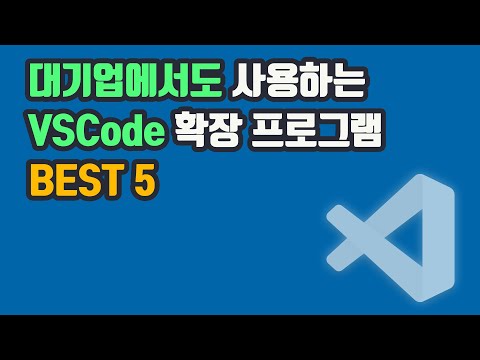 대기업에서도 사용하는 VSCode 확장 프로그램 Best 5