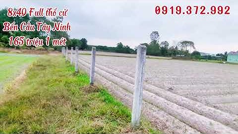 8x40 Full thổ bến cầu tây ninh 165 thương lượng 