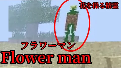 マインクラフトスピーアミーカ都市伝説