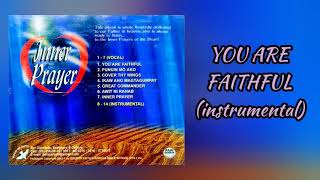 Miniatura de vídeo de "You Are Faithful (Instrumental) | DFC Music | 2nd Album"