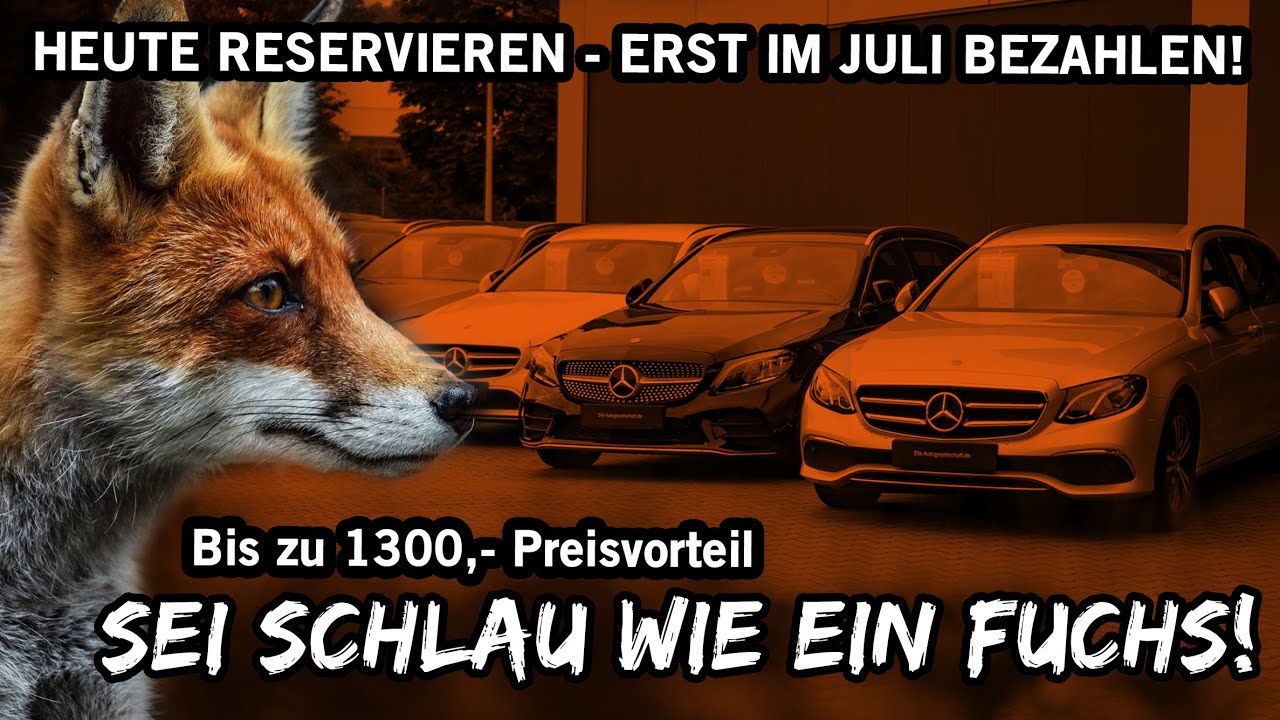 Sei schlau wie ein Fuchs! Jetzt reservieren, später bezahlen! Die