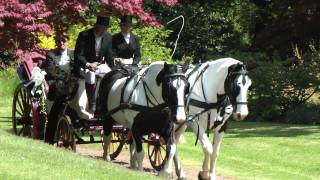 Devon Country Carriages