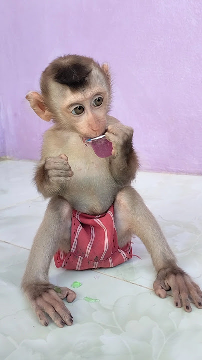 Adorable Sokhaa so cute and lovely Will MAKE YOU SMILE