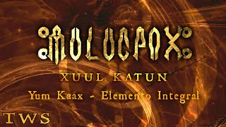 Muluc Pax - Yum Kaax - Elemento Integral [AUDIO OFICIAL]