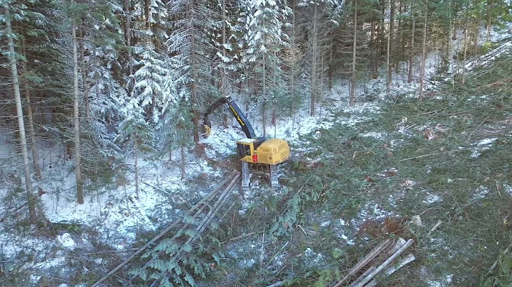 Idaho Logging - Shovel Logger - Tigercat LS855E