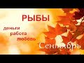 РЫБЫ СЕНТЯБРЬ ДЕНЬГИ, РАБОТА, ЛЮБОВЬ /Агата Добровская