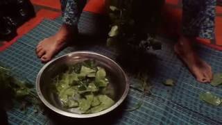 Cambodian Healthy Foodtindora Soup With Pork Sngor Slek Bas