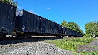 NS Trash Train