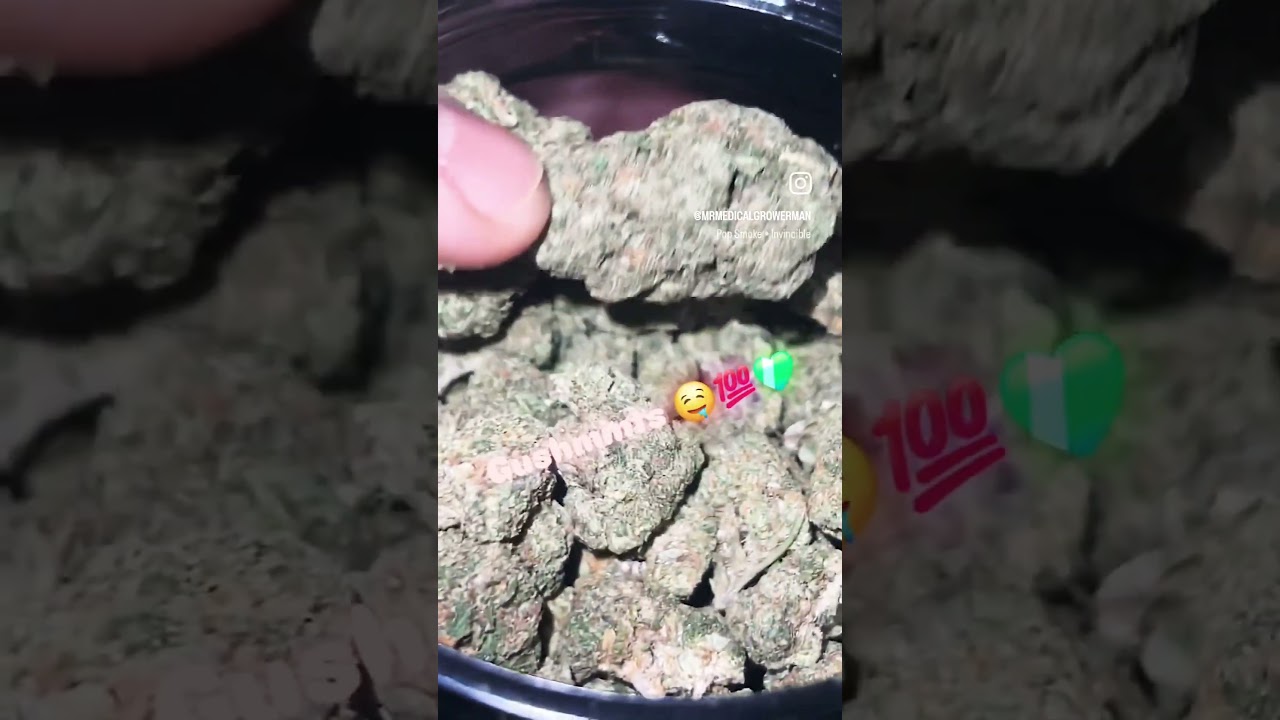 Gush Mints import from cali 📦⛽️ 