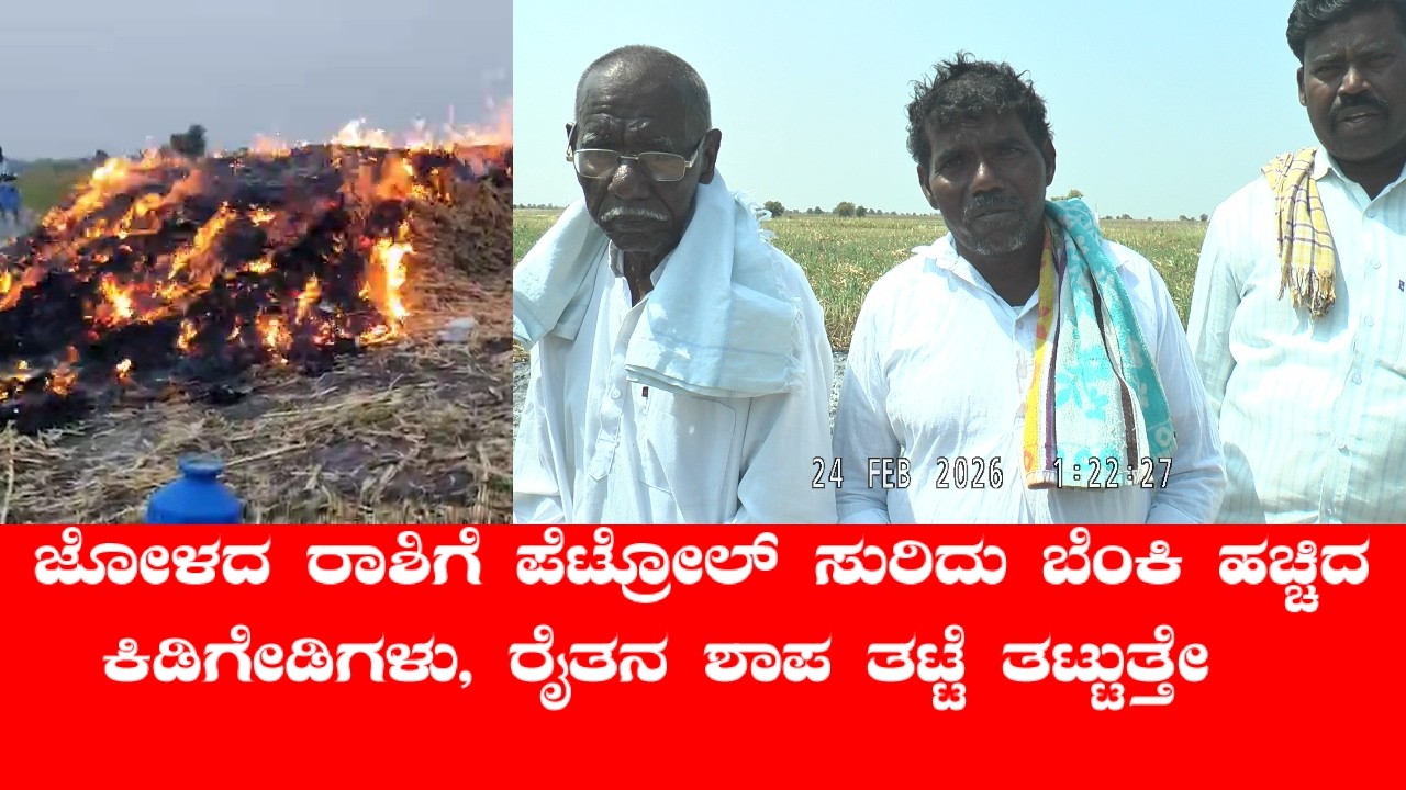 #ಜೋಳದ #ರಾಶಿಗೆ #ಪೆಟ್ರೋಲ್ #ಸುರಿದು #ಬೆಂಕಿ #ಹಚ್ಚಿದ #ಕಿಡಿಗೇಡಿಗಳು
