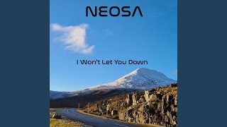 I Won't Let You Down