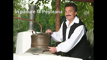 Petrică Mâțu Stoian - În pădure la Peșteana ( Varianta Originală )