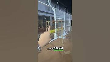 ATTA HALILINTAR BANGUN LAPANGAN PADEL DI KANTORNYA #attahalilintar #aurelhermansyah #shorts #padel