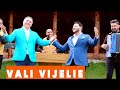 VALI VIJELIE, LEO DE LA ROSIORI & TARAFUL TURNENILOR - Hai, hai, ca viata trece 2020