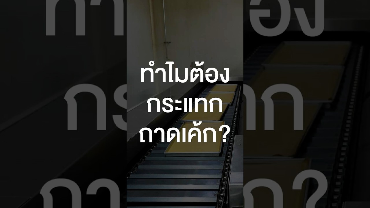 ทำไมต้องกระแทกถาดเค้ก #เสือร้องไห้ #TigerShorts #Shorts #ทัศนศึกษา