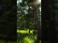 Nvidia Control Panel Vertical Sync On or Off | Nvidia VSync On/Off/Fast/Adaptive/Adaptive (Half)