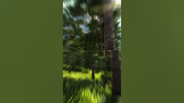 Nvidia Control Panel Vertical Sync On or Off | Nvidia VSync On/Off/Fast/Adaptive/Adaptive (Half)